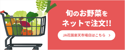 旬のお野菜をネットで注文
